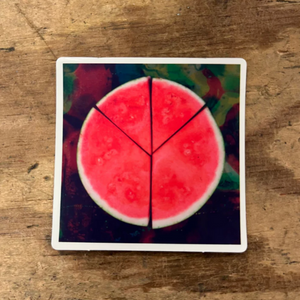 watermelon (6x6) Stickers