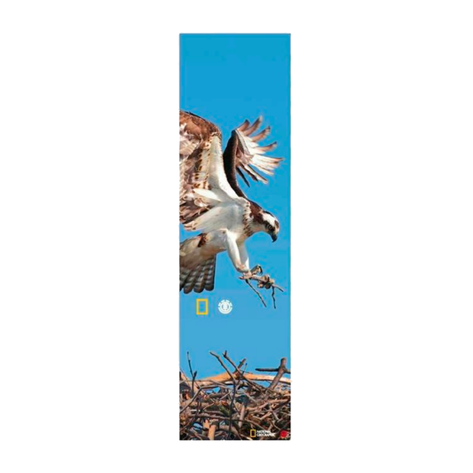 Element Griptape - National Geographic - "Spirit Eagle"